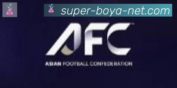 博亚体育合作伙伴